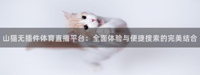 说球帝直播下载