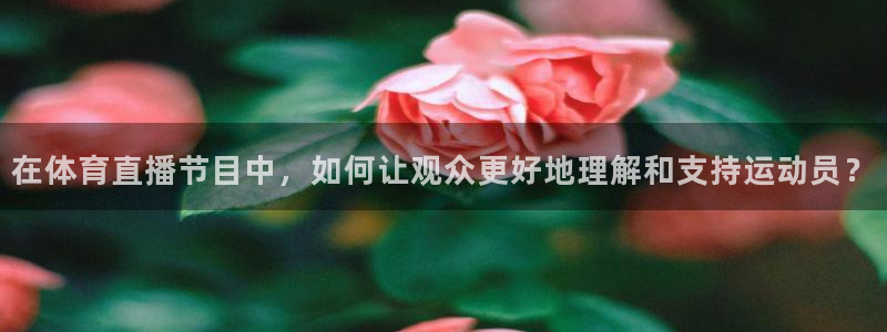 说球帝直播网：在体育直播节目中，如何让观众更好地理解和支持运动员？