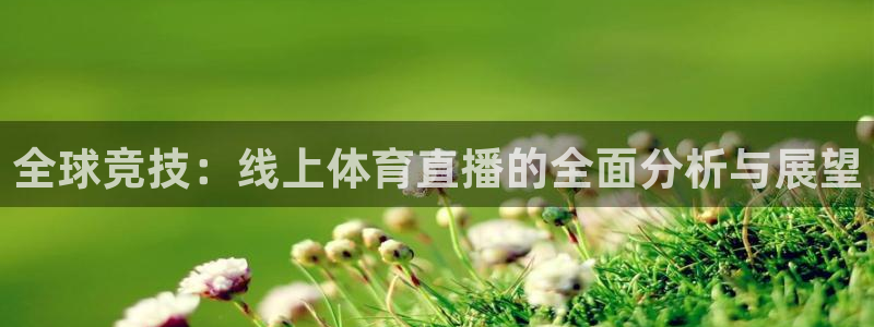 nba免费直播说球帝：全球竞技：线上体育直播的全面分析与展望