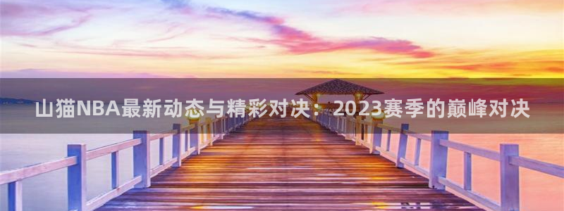 直播nba免费观看说球帝：山猫NBA最新动态与精彩对决：2023赛季的巅峰对决