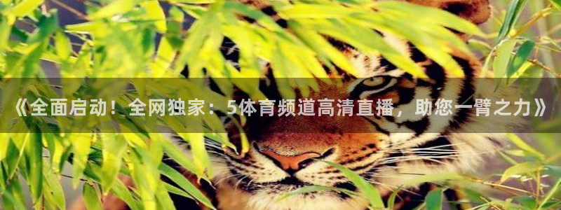 说球帝直播在线观看