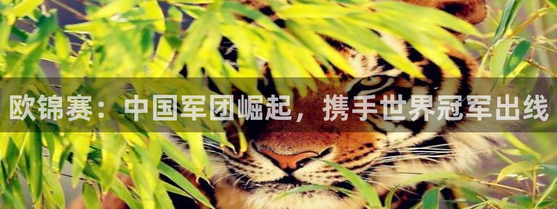 说球帝直播在线观看：欧锦赛：中国军团崛起，携手世界冠军出线