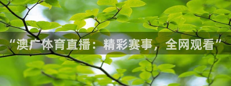 说球帝直播在线免费观看：“澳广体育直播：精彩赛事，全网观看”