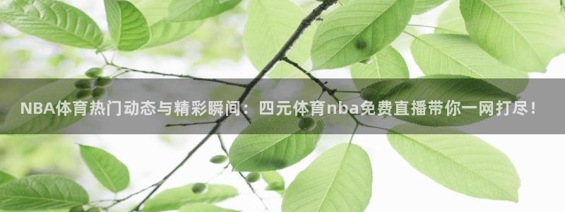 说球帝篮球直播：NBA体育热门动态与精彩瞬间：四元体育nba免费直播带你一网打尽！