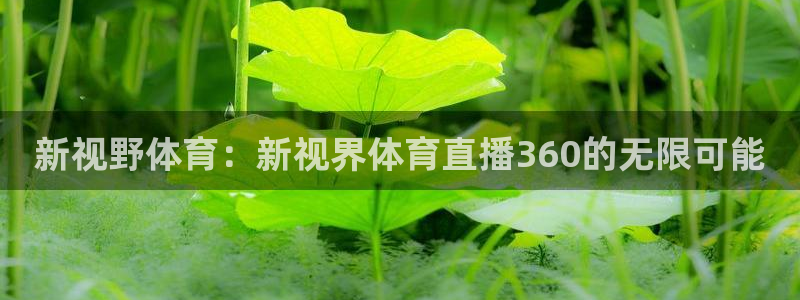 说球帝：新视野体育：新视界体育直播360的无限可能