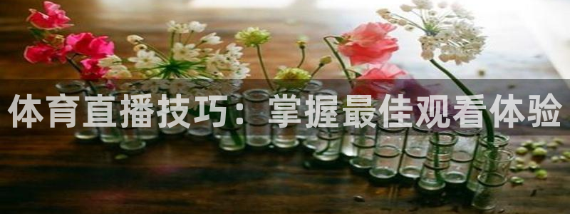 说球帝网页直播：体育直播技巧：掌握最佳观看体验