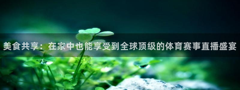 直播nba免费观看说球帝：美食共享：在家中也能享受到全球顶级的体育赛事直播盛宴