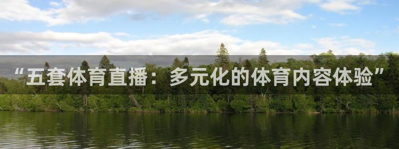 说球帝直播app：“五套体育直播：多元化的体育内容体验”
